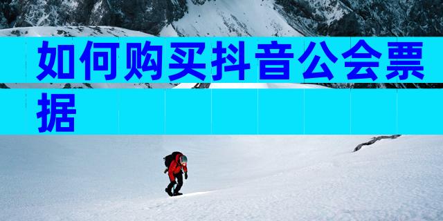 如何购买抖音公会票据