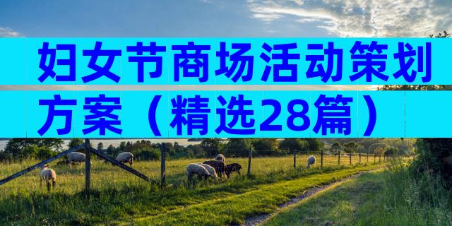 妇女节商场活动策划方案（精选28篇）