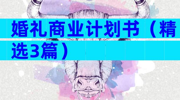 婚礼商业计划书（精选3篇）