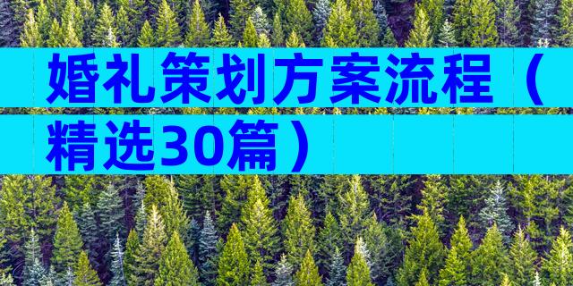 婚礼策划方案流程（精选30篇）