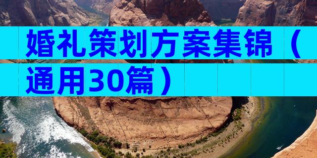 婚礼策划方案集锦（通用30篇）