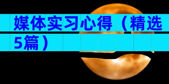 媒体实习心得（精选5篇）