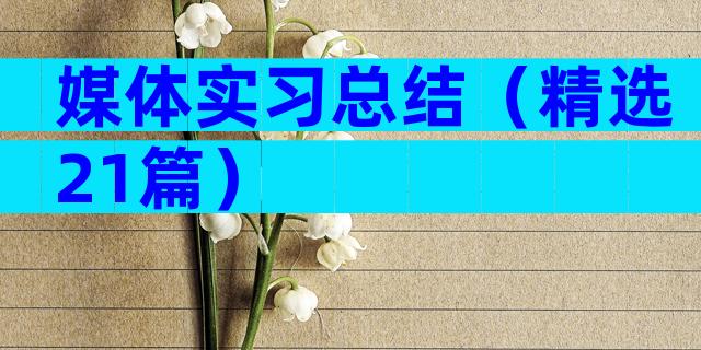 媒体实习总结（精选21篇）