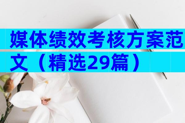 媒体绩效考核方案范文（精选29篇）
