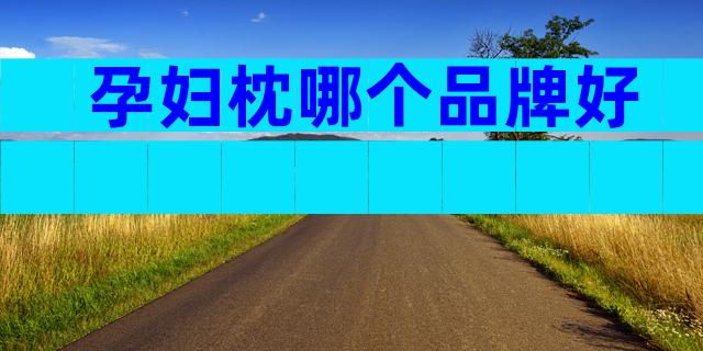孕妇枕哪个品牌好