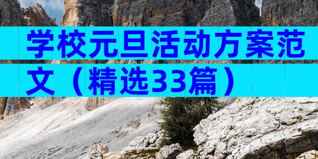 学校元旦活动方案范文（精选33篇）