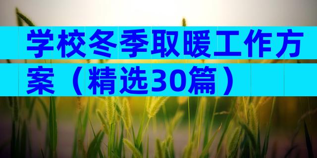 学校冬季取暖工作方案（精选30篇）