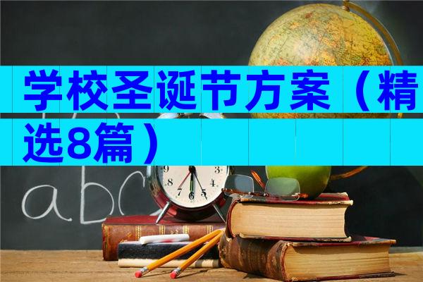学校圣诞节方案（精选8篇）