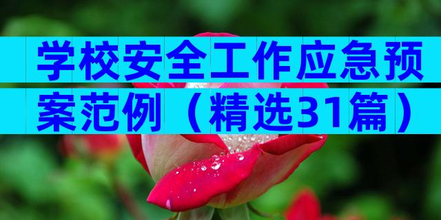 学校安全工作应急预案范例（精选31篇）