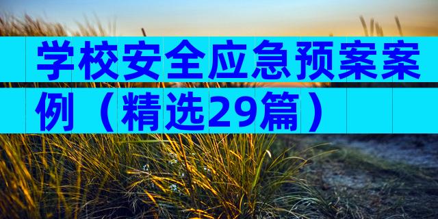 学校安全应急预案案例（精选29篇）