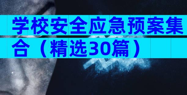 学校安全应急预案集合（精选30篇）