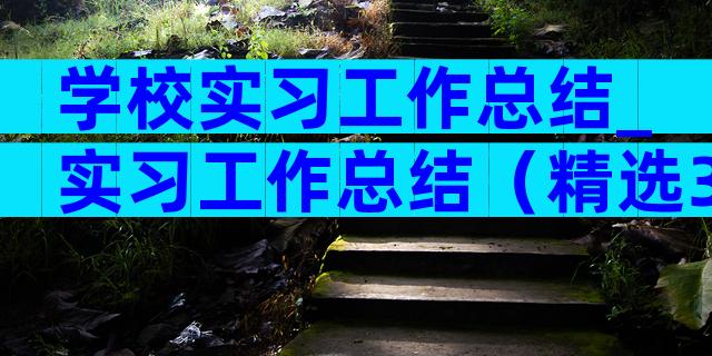学校实习工作总结_实习工作总结（精选3篇）