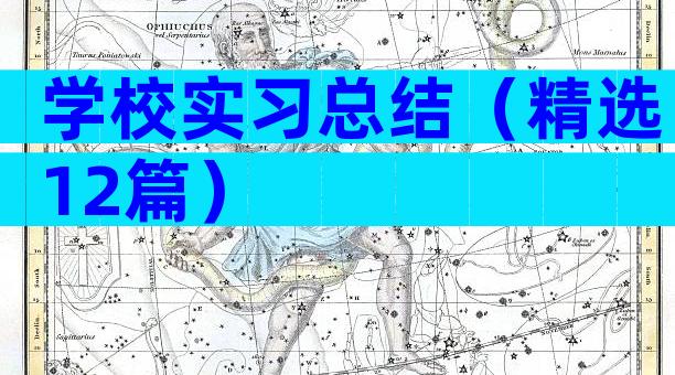 学校实习总结（精选12篇）