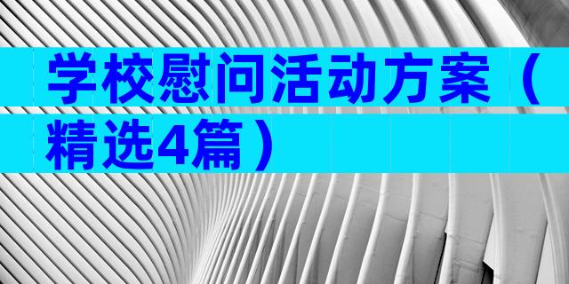 学校慰问活动方案（精选4篇）