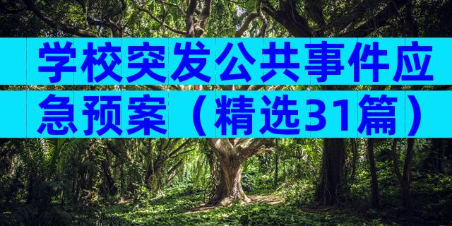 学校突发公共事件应急预案（精选31篇）