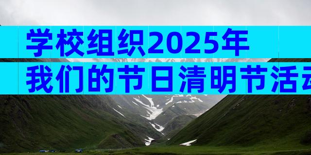 学校组织2025年我们的节日清明节活动方案（通用28篇）