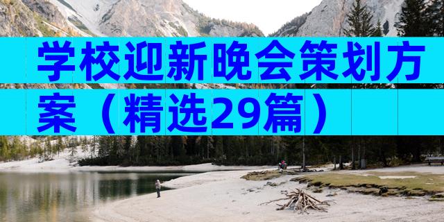 学校迎新晚会策划方案（精选29篇）