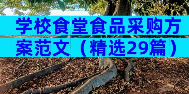 学校食堂食品采购方案范文（精选29篇）