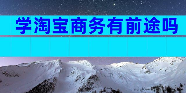 学淘宝商务有前途吗