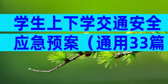 学生上下学交通安全应急预案（通用33篇）