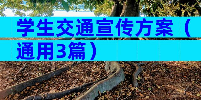 学生交通宣传方案（通用3篇）