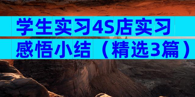 学生实习4S店实习感悟小结（精选3篇）