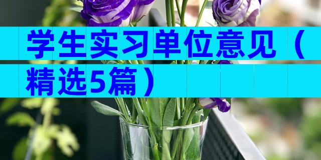 学生实习单位意见（精选5篇）