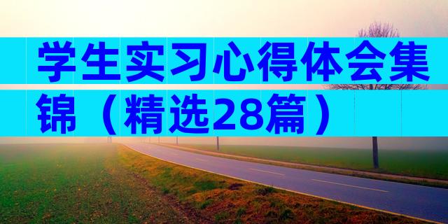 学生实习心得体会集锦（精选28篇）