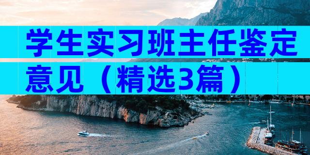 学生实习班主任鉴定意见（精选3篇）