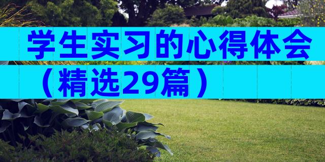 学生实习的心得体会（精选29篇）