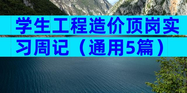 学生工程造价顶岗实习周记（通用5篇）