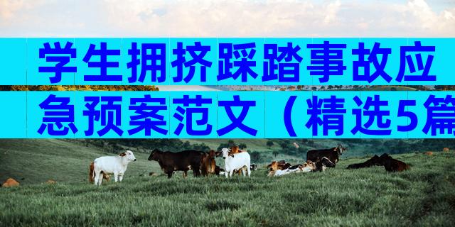 学生拥挤踩踏事故应急预案范文（精选5篇）