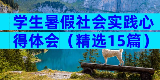 学生暑假社会实践心得体会（精选15篇）