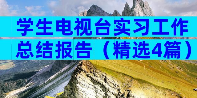 学生电视台实习工作总结报告（精选4篇）