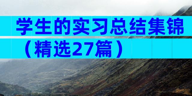 学生的实习总结集锦（精选27篇）