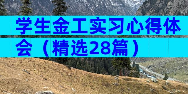 学生金工实习心得体会（精选28篇）