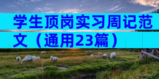 学生顶岗实习周记范文（通用23篇）