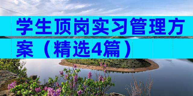 学生顶岗实习管理方案（精选4篇）