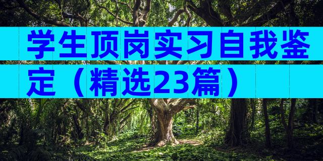 学生顶岗实习自我鉴定（精选23篇）