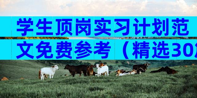 学生顶岗实习计划范文免费参考（精选30篇）