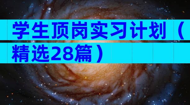 学生顶岗实习计划（精选28篇）