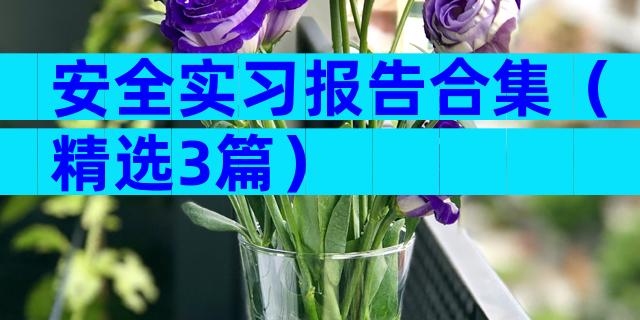 安全实习报告合集（精选3篇）