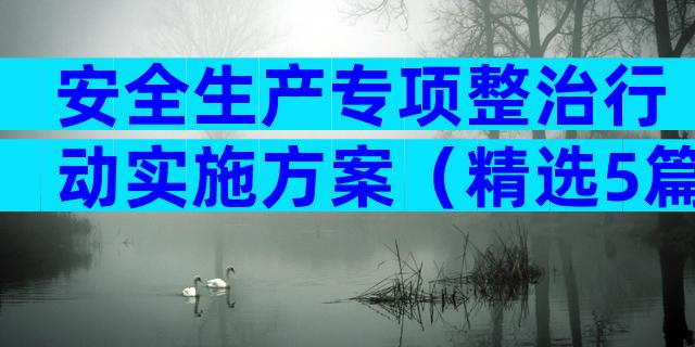 安全生产专项整治行动实施方案（精选5篇）
