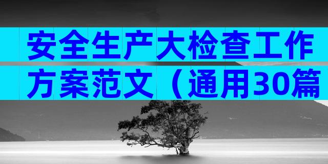 安全生产大检查工作方案范文（通用30篇）