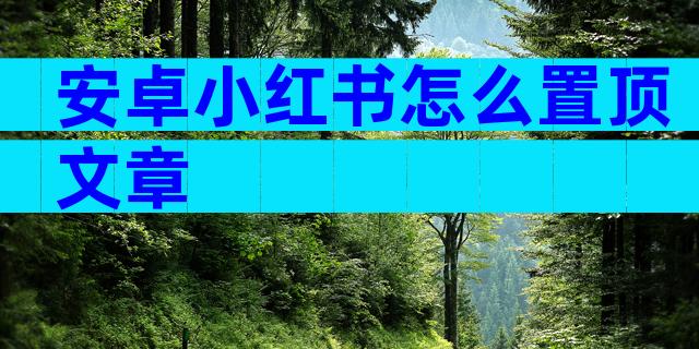 安卓小红书怎么置顶文章