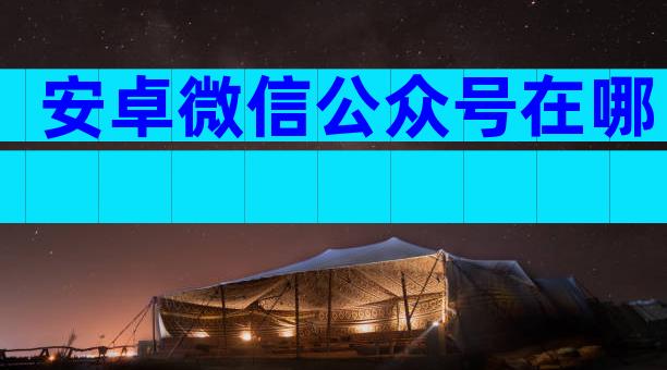 安卓微信公众号在哪