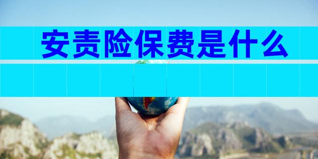 安责险保费是什么