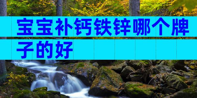 宝宝补钙铁锌哪个牌子的好