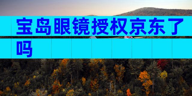 宝岛眼镜授权京东了吗