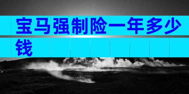宝马强制险一年多少钱